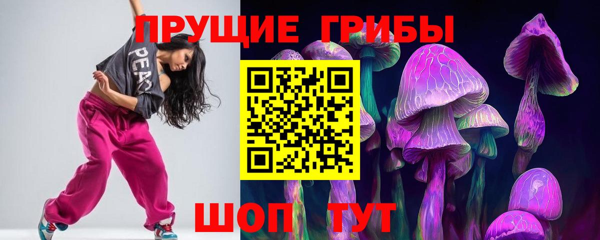 Белогорск  Псилоцибиновые грибы прущие грибы  Вход с VPN 